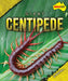 Giant Centipede by Rachel Rose