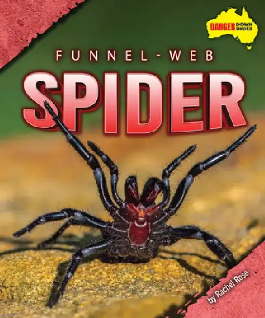 Funnel-Web Spider by Rachel Rose