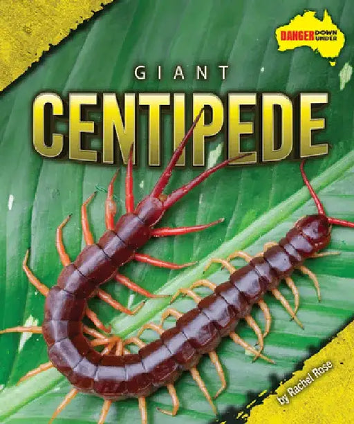 Giant Centipede by Rachel Rose