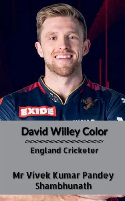 David Willey Color: England Cricketer by Vivek Kumar Pandey