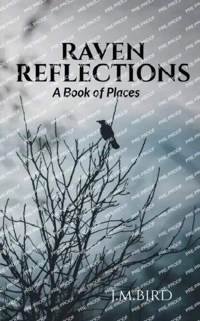 Raven Reflections by J. M
