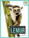 Lemur by Julie Lavender, David Lavender