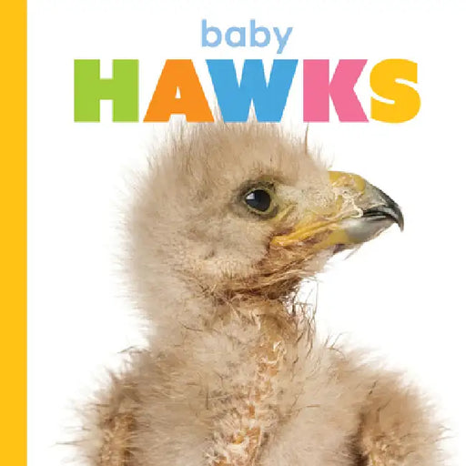 Baby Hawks by Meg Greve