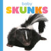Baby Skunks by Meg Greve