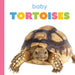 Baby Tortoises by Meg Greve