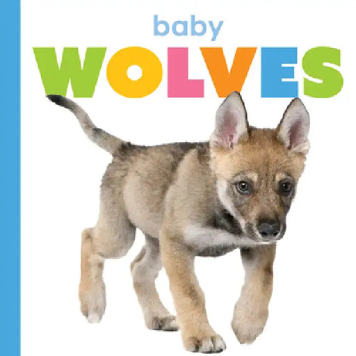 Baby Wolves by Meg Greve