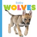 Baby Wolves by Meg Greve