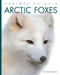 Arctic Foxes by Mari Bolte