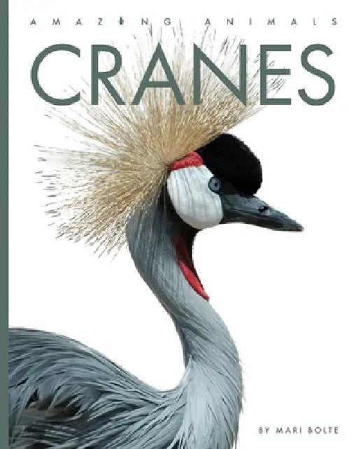 Cranes by Mari Bolte