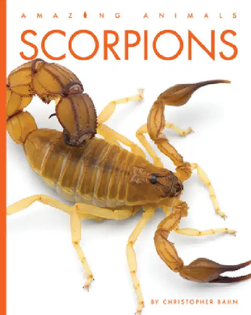 Scorpions by Christopher Bahn