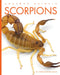 Scorpions by Christopher Bahn