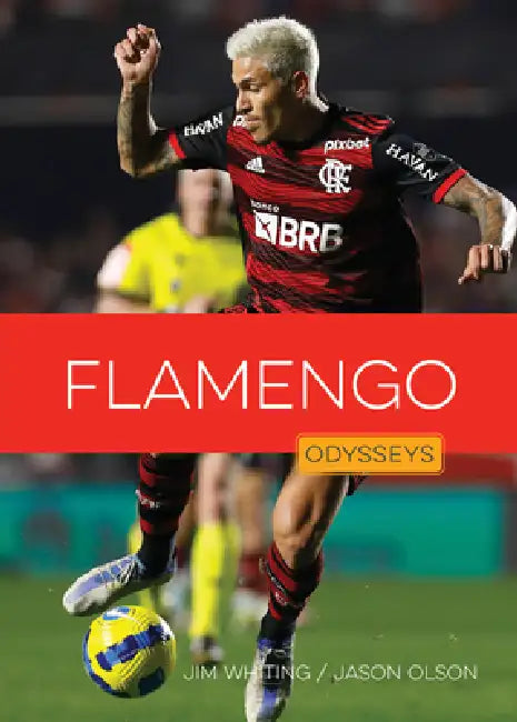 Flamengo by Jim Whiting