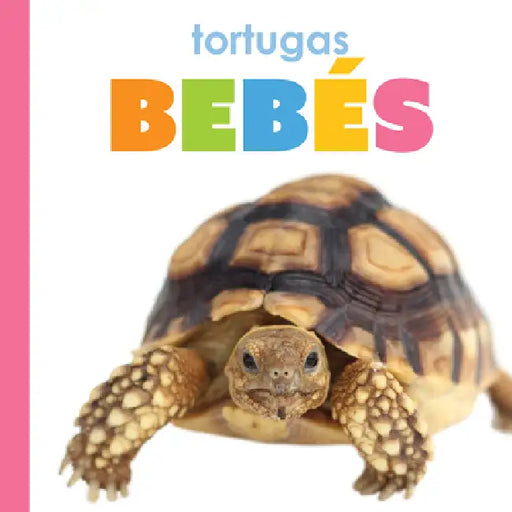 Tortugas Bebés by Meg Greve