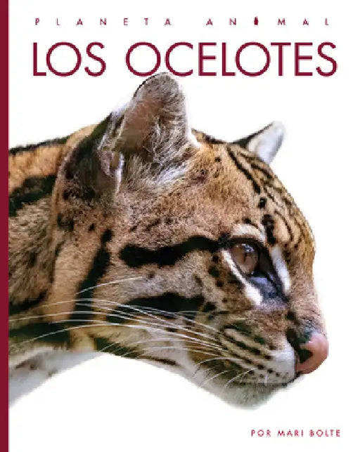 Los Ocelotes by Mari Bolte