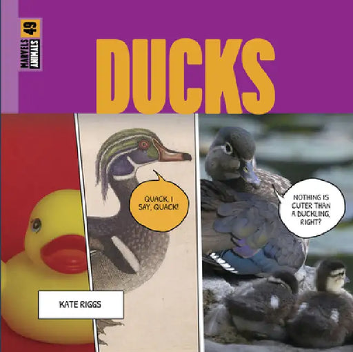 Ducks by Kate Riggs