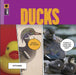 Ducks by Kate Riggs