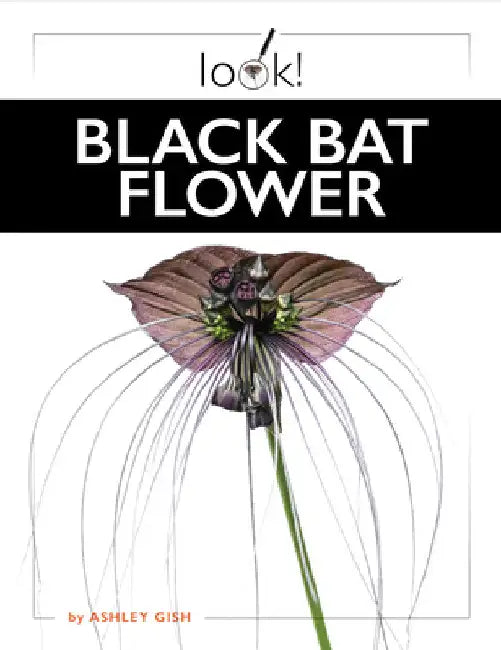 Black Bat Flower by Ashley Gish