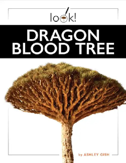 Dragon Blood Tree by Ashley Gish