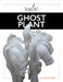 Ghost Plant by Ashley Gish