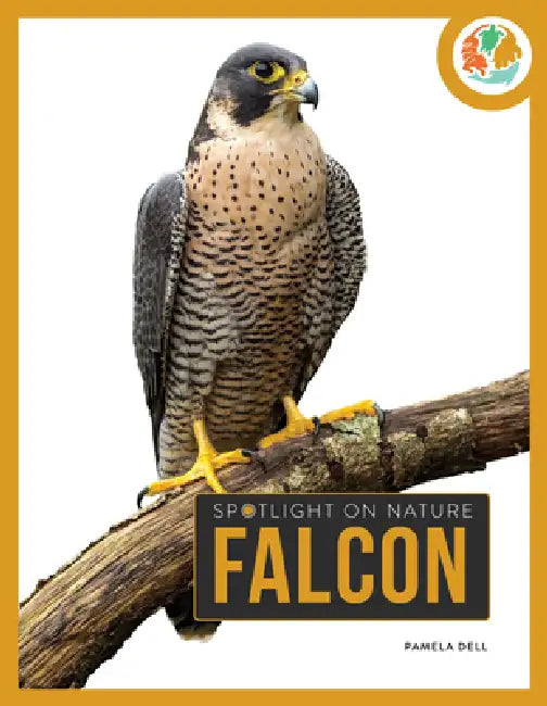 Falcon by Pamela Dell