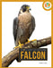 Falcon by Pamela Dell