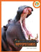 Hippopotamus by Lisa M. Bolt Simons