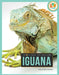 Iguana by Lisa M. Bolt Simons