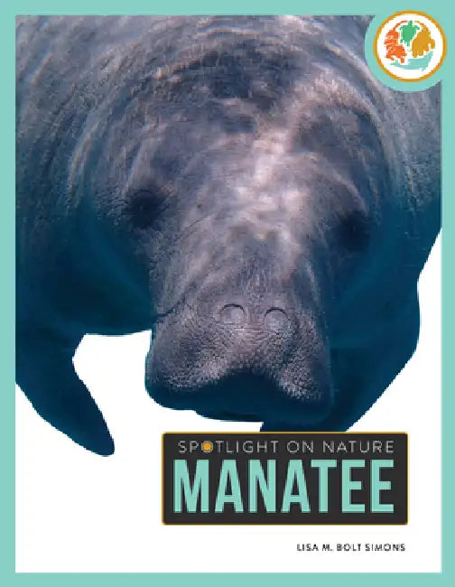 Manatee by Lisa M. Bolt Simons