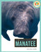 Manatee by Lisa M. Bolt Simons