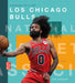 Los Chicago Bulls by Joe Tischler