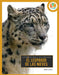 El Leopardo de Las Nieves: Spanish Edition by Pamela Dell