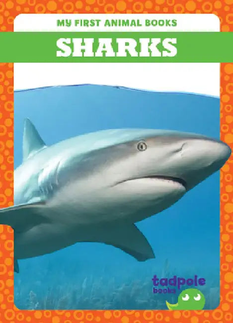 Sharks by Natalie Deniston