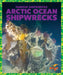 Arctic Ocean Shipwrecks by Michelle Parkin