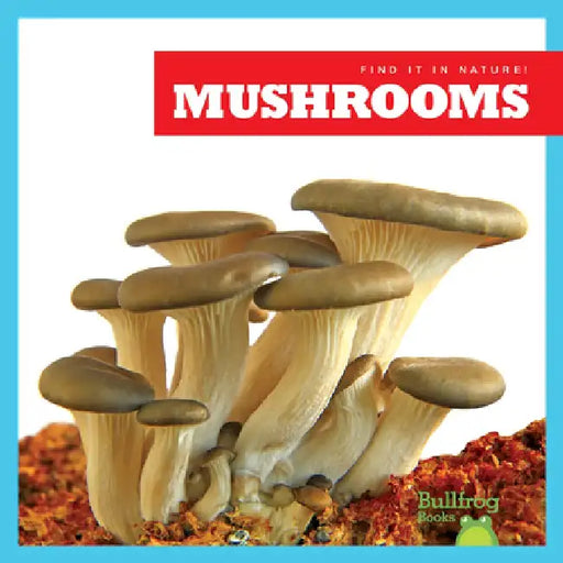 Mushrooms by Jenna Lee Gleisner
