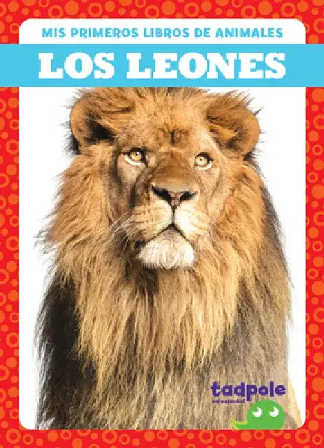 Los Leones (Lions) by Natalie Deniston