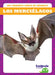 Los Murciélagos (Bats) by Natalie Deniston