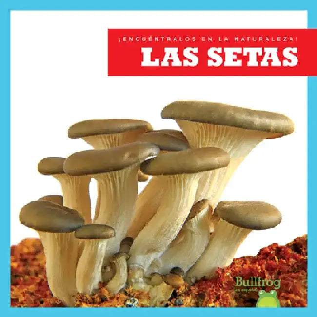 Las Setas (Mushrooms) by Jenna Lee Gleisner
