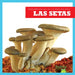 Las Setas (Mushrooms) by Jenna Lee Gleisner
