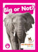 Big or Not? by William Anthony