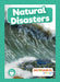 Natural Disasters by Louise Nelson