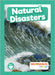 Natural Disasters by Nelson, Louise