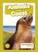 Animals on the Coast by Robin Twiddy