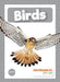 Birds by William Anthony