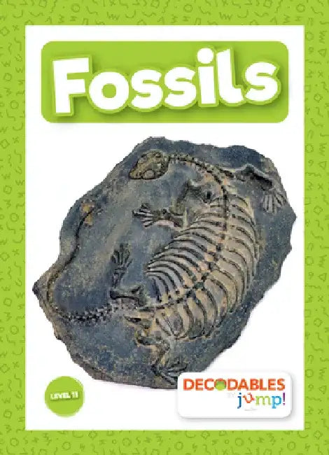 Fossils by Kirsty Holmes
