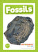 Fossils by Kirsty Holmes