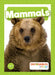 Mammals by Charlie Ogden