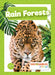 Rain Forests by Mike Clark