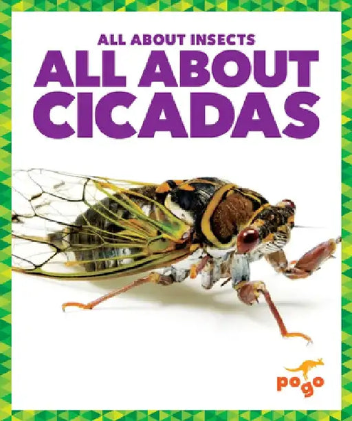 All about Cicadas by Golriz Golkar