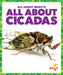 All about Cicadas by Golriz Golkar