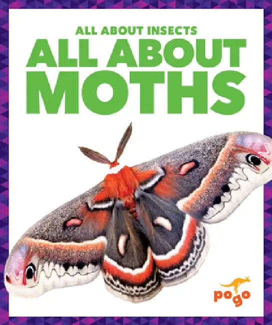 All about Moths by Golriz Golkar